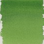Talens | Pantone Encre pour marqueur teinte 361, 30 ml