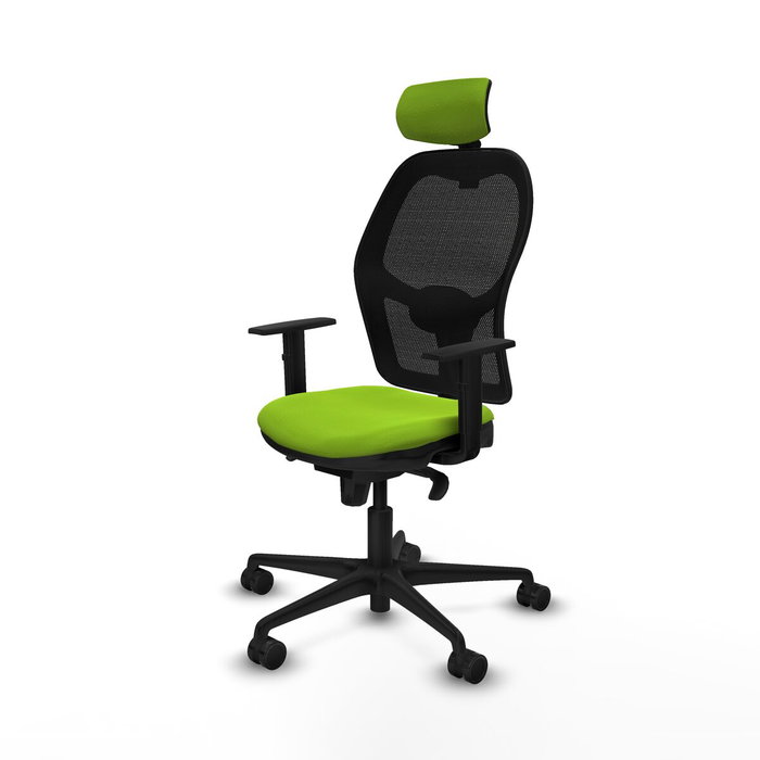 Piqueras y Crespo Chaise de Bureau 1D036N2 Pistache