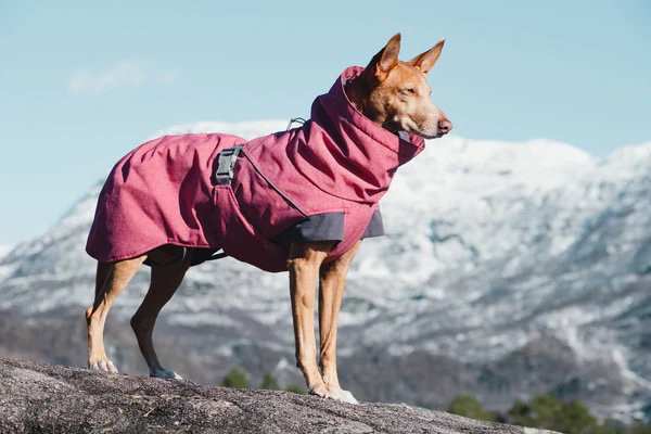 Hurtta Parka Expedition Rose T.30XL Hurtta Parka Expedition Rose T.30XL