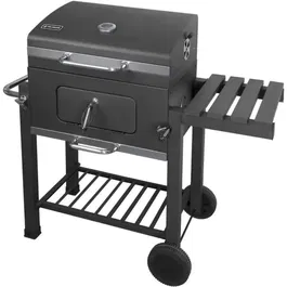 Fieldmann FZG 1008 - Barbecue au charbon de bois avec thermomètre et roues, surface de cuisson 55,6 x 41,5 cm