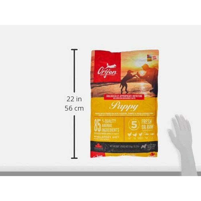 Nourriture Orijen Petit/Junior Poulet Dinde Poisson 6 Kg