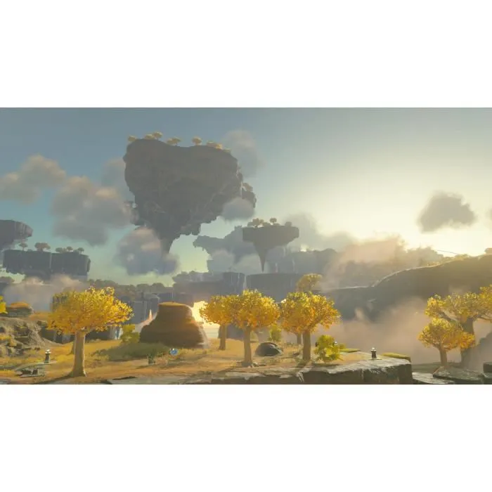 Jeu vidéo pour Switch Nintendo the legend of zelda tears of the kingdom Jeu vidéo pour Switch Nintendo the legend of zelda tears of the kingdom