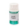 EQUISALUD HOLOFIT PALPITOL 50 capsules