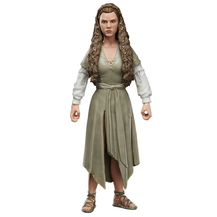 Hasbro Princess Leia Ewok Village Black Series