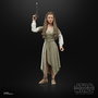 Hasbro Princess Leia Ewok Village Black Series