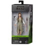 Hasbro Princess Leia Ewok Village Black Series