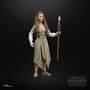 Hasbro Princess Leia Ewok Village Black Series