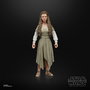 Hasbro Princess Leia Ewok Village Black Series