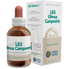 Forza Vitale Les Ulmus Campestris Olmo 50Ml – Complément Alimentaire Bien-être des Muqueuses