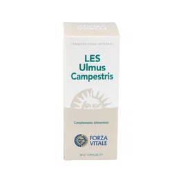 FORZA VITALE LES ULMUS CAMPESTRIS