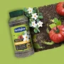 Fertiligene Engrais longue durée premium universel 600 g