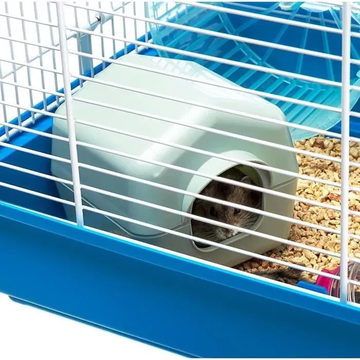 Ferplast Cage pour Hamster Paula Tube Line - 46x29.5x24.5 cm Bleu avec Maison, Roue, Mangeoire, Abreuvoir et Tunnels