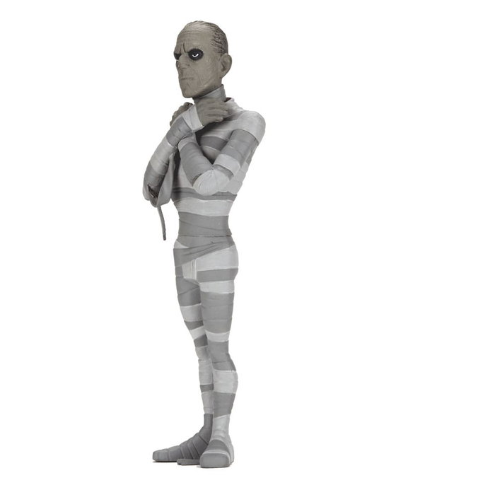 Universal Monsters Toony Terrors assortiment figurines 15 cm Silver Screen Edition Series 10 (12) Universal Monsters Toony Terrors assortiment figurines 15 cm Silver Screen Edition Series 10 (12)