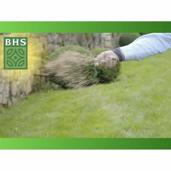 BHS Gazon Regarnissage 5kg