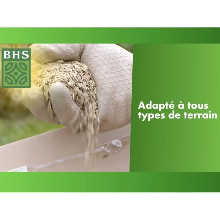 BHS - Semence de gazon pour regarnissage et réparation de pelouse, 5 kg, semis printemps/automne