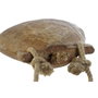 Home ESPRIT Figurine Décorative Esprit Naturel - Lot de 4 Unités - 20 x 7 x 13 cm
