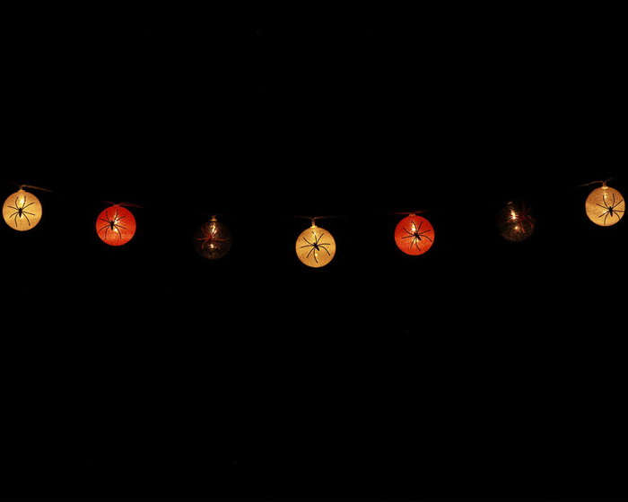 Guirnalda Decorativa Halloween 135 cm avec 8 Farolillos Toile d'Araignée, Araignées et Lumières LED, Blanc, Orange, Noir