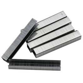 Future Agrafes Rectes 8 mm x 11 mm, 1000 unités