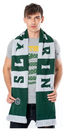 Harry Potter écharpe Slytherin