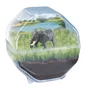 Clementoni Mini Terrarium Kit Créatif Éléphant - Comprend Disque de Tourbe, Graines, Figurine et Décor pour Recréer un Habitat Naturel