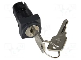 SCHNEIDER ELECTRIC Commutateur rotatif avec une clé 16mm noir