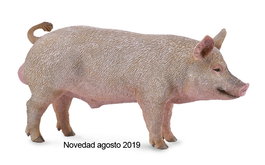 Collecta - Figurine réaliste de Cochon Mâle pour Collection Animaux de Ferme - Modèle 88864