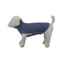 Pull pour chien Trixie Bleu XXS