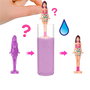 Barbie - Mini Poupées Barbieland Colour Reveal - Kit de découverte avec poupée surprise - 3,8 cm - Articulée - À partir de 4 ans
