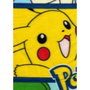 Pokemon Plaid Polaire 8 Pokemon 100 x 140 cm