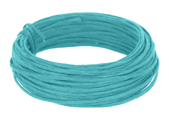 Innspiro Fil de fer revêtu de papier bleu 3 mm x 10 m Innspiro Fil de fer revêtu de papier bleu 3 mm x 10 m