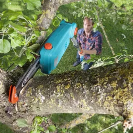 Gardena TCS 720/20 - Elagueuse sur perche électrique 720W, longueur de guide 20 cm, manche télescopique 4.4 m - Idéale pour l'élagage et la taille d'arbres en toute sécurité