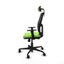 PIQUERAS Y CRESPO Chaise Alfera Synchro Vert pistache et Noir