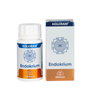 EQUISALUD Holoram Endokrium 60 capsules