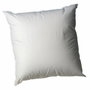Blanreve Oreiller en coton Blanc 60 x 60 cm