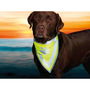 Collier réfléchissant pour animaux Trixie