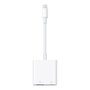 Apple Adaptateur Lightning vers USB-A pour iPhone iPad iPod Transfert de Données USB 3.0 Charge