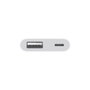 Apple Adaptateur Lightning vers USB-A pour iPhone iPad iPod Transfert de Données USB 3.0 Charge