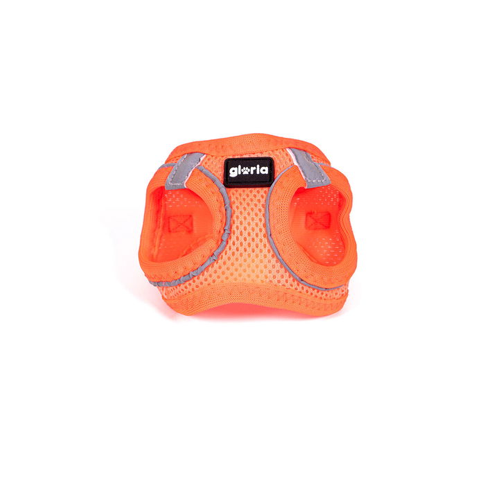 Harnais pour Chien Gloria Trek Star Orange M 32,8-35,4 cm 45-47 cm Harnais pour Chien Gloria Trek Star Orange M 32,8-35,4 cm 45-47 cm