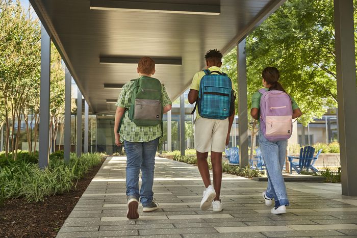 HP Sac à dos Campus pour ordinateur portable 15.6 pouces, organisation avec sangles rembourrées et compartiment sécurisé, vert