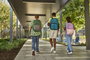 HP Sac à dos Campus pour ordinateur portable 15.6 pouces, organisation avec sangles rembourrées et compartiment sécurisé, vert