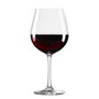 Inde Set de Verres Sensation 630 ml, 6 Pièces