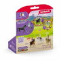 Schleich Horse Club 42712 Lisa et Storm special