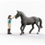 Schleich Horse Club 42712 Lisa et Storm special