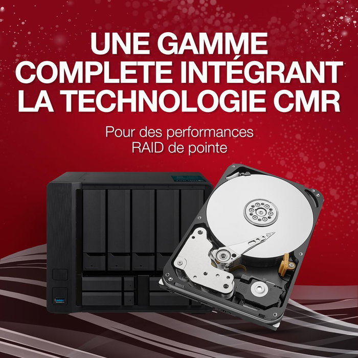 Disque dur Seagate ST24000NT002 24 TB 3,5"