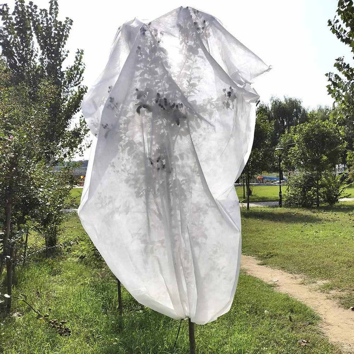 Biotop Lot de 2 Capuchons de protection pour plantes Ø 1,5 x 1,8 m
