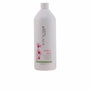Biolage Colorlast Shampooing pour cheveux colorés 1000 ml