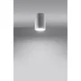 LAGOS Lámpara de Techo SOL-SL.0996, Lampe de Plafond en Acier Brut Style Industriel et Loft, 10 cm