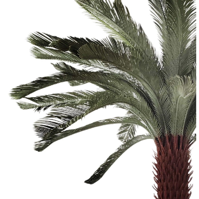 Home ESPRIT Plante décorative Palmier en Polyéthylène Home ESPRIT Plante décorative Palmier en Polyéthylène