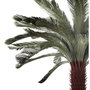 Home ESPRIT Plante décorative Palmier en Polyéthylène