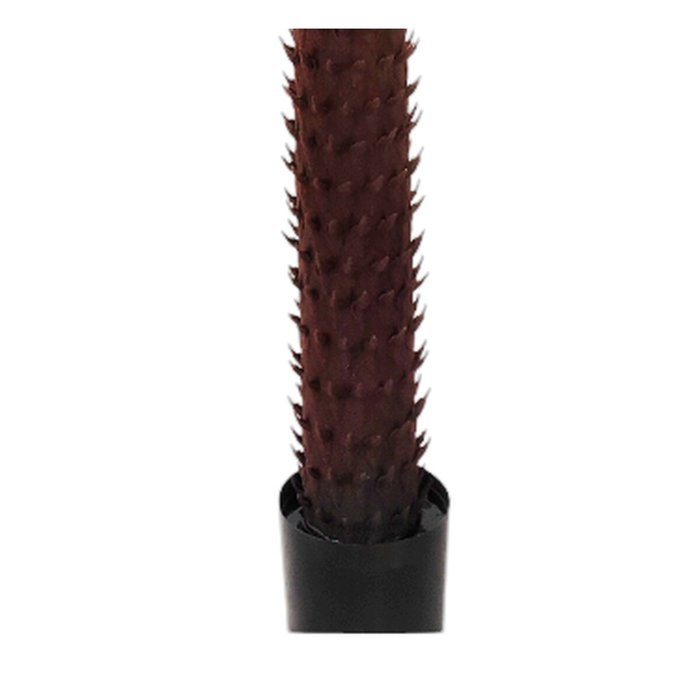 Home ESPRIT Plante décorative Palmier en Polyéthylène Home ESPRIT Plante décorative Palmier en Polyéthylène